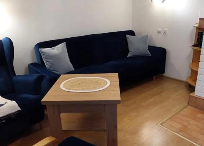 Апартаменты Kaszubski Dziadek Владыславово